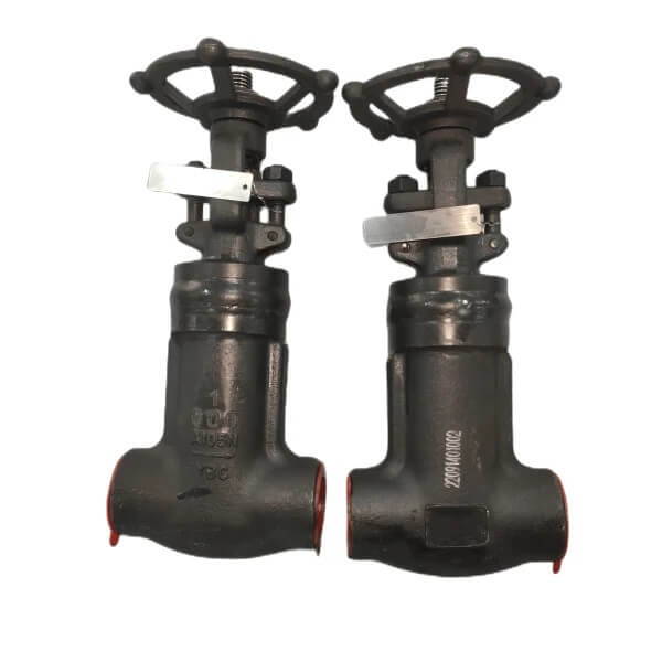 Bellows Seal Globe Valves: BS 1873